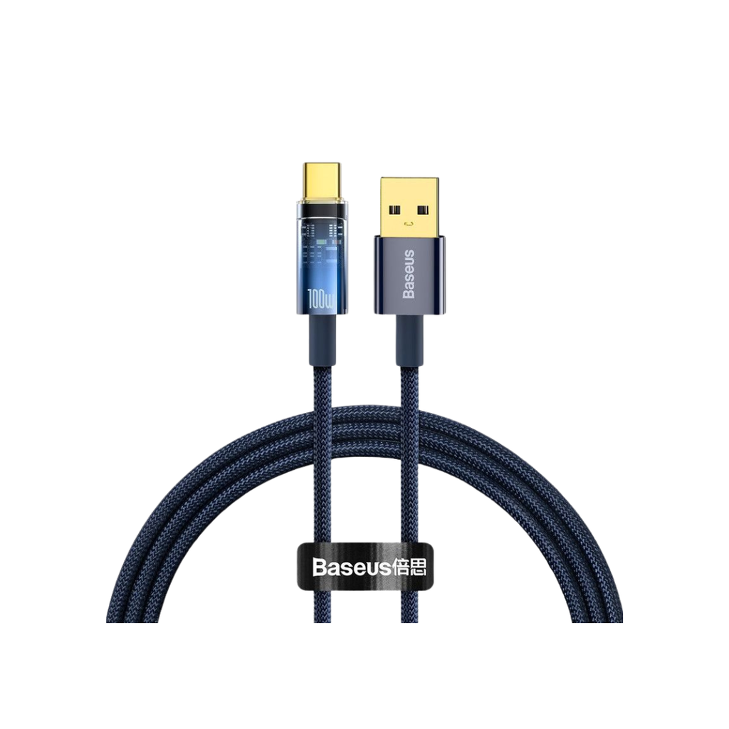 FISHE BASEUS USB C TO USB 100W - EXPLORER